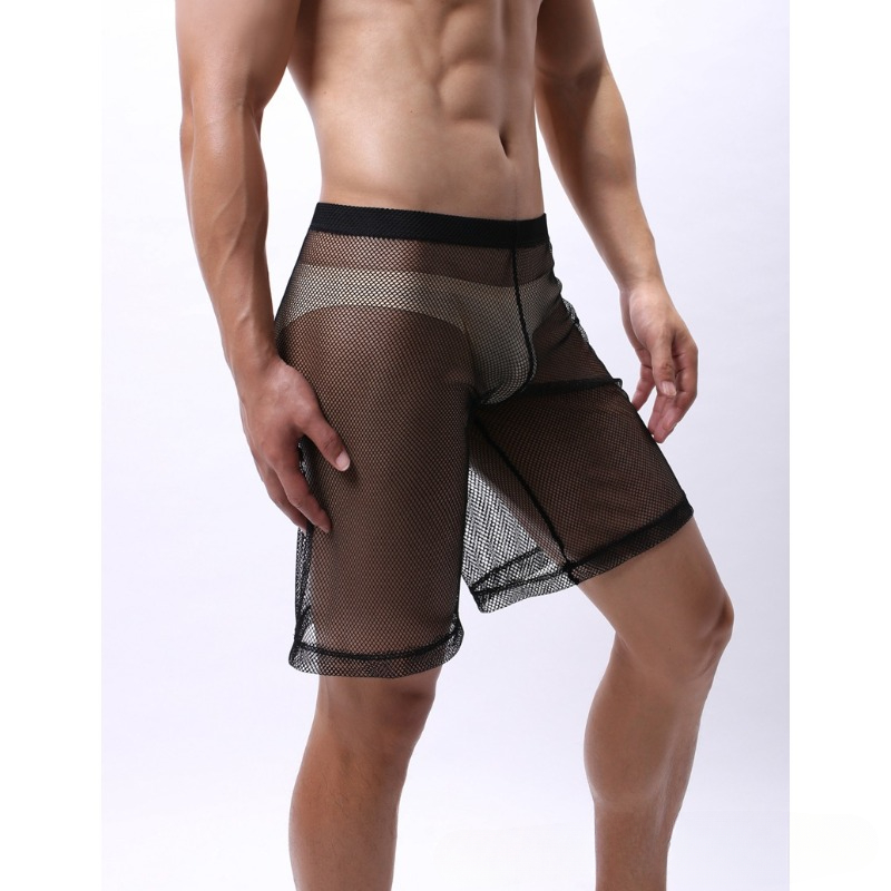 Trunk Breathable Men - ローライズメッシュエロ下着男性通気性男性ボクサーパンツ透明水泳パンツショーツ U 凸ポーチ男ブリーフ